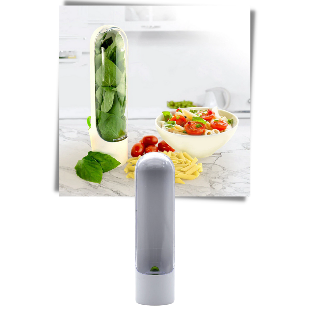 Fresh Herb Preservation Container