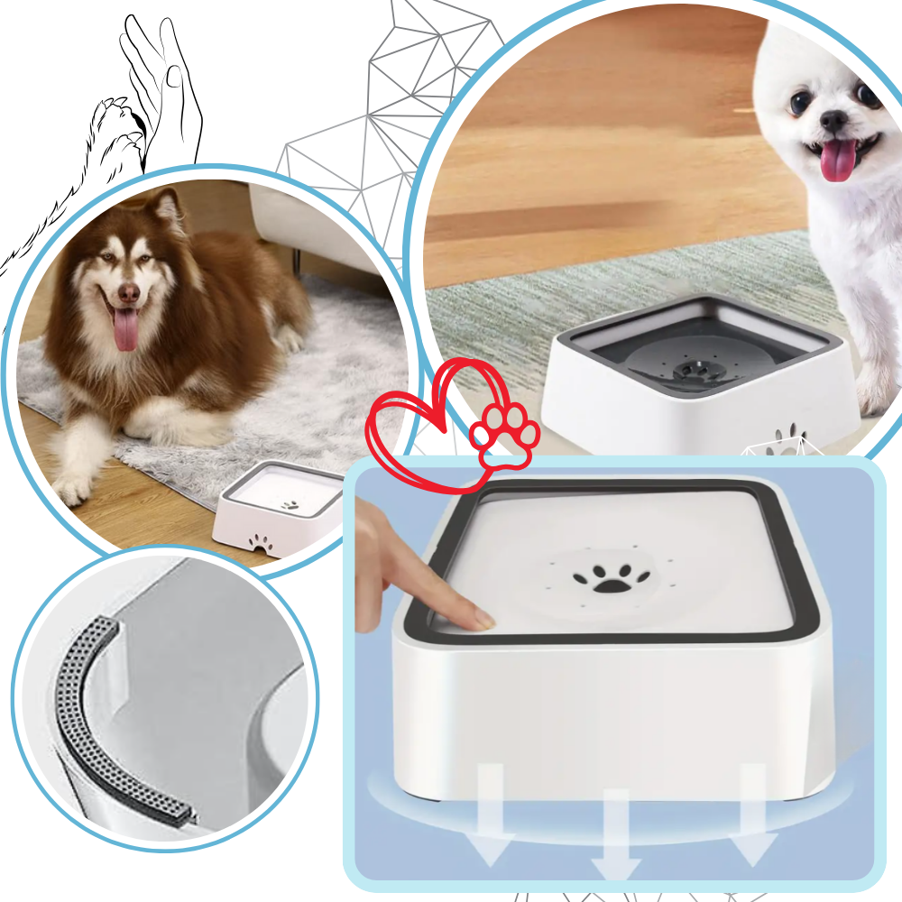 Splash-Free Water Bowl For Dogs - Ozerty