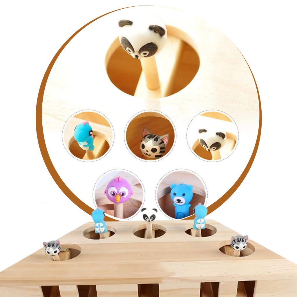 5 Hole Wooden Interactive Cat Toy