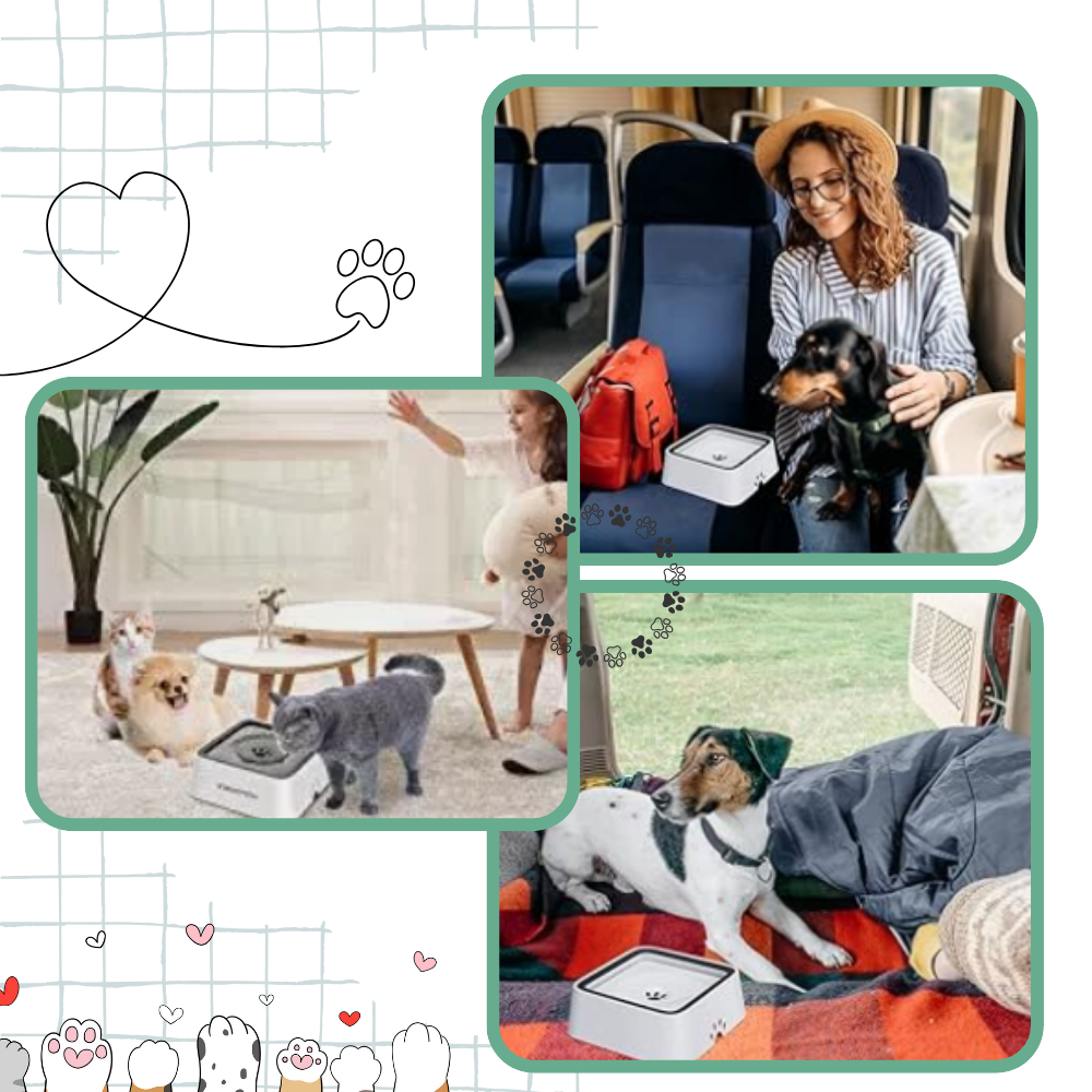 Splash-Free Water Bowl For Dogs - Ozerty